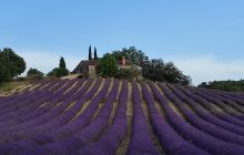 18th century farmhouse with 38 hectares of land