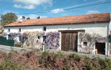 For Sale 4-5 Bed Smallholding Near Bussière-Poitevine - Haute Vienne