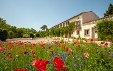 Beautiful domaine with 360 views, 10 bedrooms, heated pool and gardens. Tranquil & peaceful - 11 mins from Carcassonne airport.