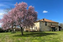 Thumbnail for the listing's main image