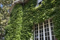 Thumbnail for the listing's main image