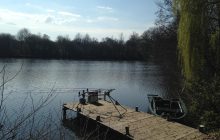 For sale property with pond on 6 hectares land