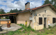 Detached stone cottage to renovate - Near Sauzé-Vaussais 79190 Deux Sèvres Poitou Charentes