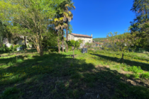 Thumbnail for the listing's main image