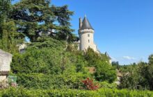 Charming Renovated Stone House with Garden & Château Views in Verteuil-sur-Charente R7489