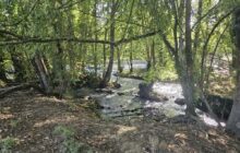 A Beautiful Leisure Plot on the Banks of the Charente River R7628